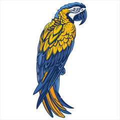 Parrot flat vector illustration Parrot cartoon vector illustration