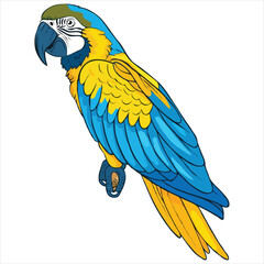 Parrot flat vector illustration Parrot cartoon vector illustration