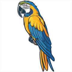 Parrot flat vector illustration Parrot cartoon vector illustration