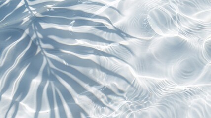 Obraz premium Tropical palm leaf shadow on water surface. Banner for summer vacation.