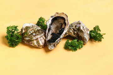 Tasty oysters with black caviar on yellow background