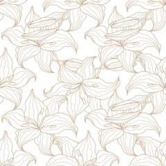 Fototapeta premium Lilly line art flower seamless pattern for design of fabric, scrapbook, wallpaper. Delicate hand drawn vector background