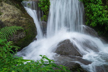 Fototapeta premium Paglajhora waterfall , famous waterfall in monsoon, at Kurseong, Himalayan mountains of Darjeeling, West Bengal, India. Origin of Mahananda River flowing through Mahananda Wildlife Sanctuary.