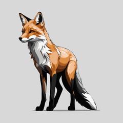 Obraz premium a color fox standing vector design with white background.