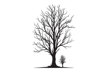 Fototapeta premium Tree Silhouette Vector Illustration
