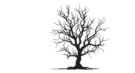 Fototapeta premium Tree Silhouette Vector Illustration