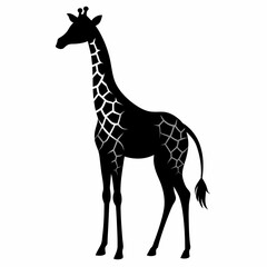 Obraz premium giraffe illustration