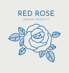 Hand drawn vector rose illustration. Line art, retro. Plants and herbs for cosmetics. Logo template.