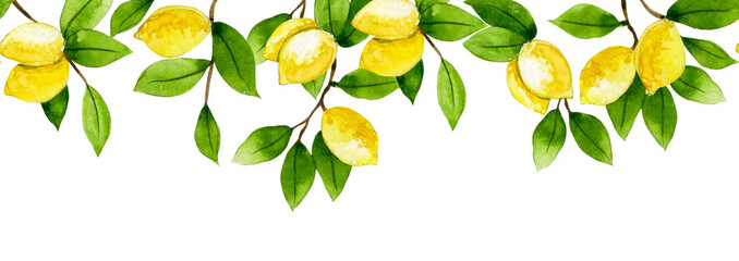 watercolor pattern, seamless border of fruit lemons and leaves.