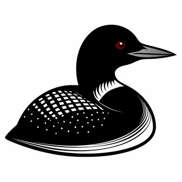 recommend clip art:  Common Loon outline vector artwork illustration