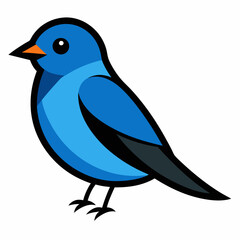 Eastern Bluebird vector  illustration svg file