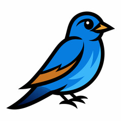 Eastern Bluebird vector  illustration svg file