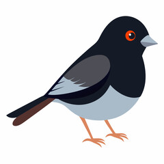 Solid color Dark Eyed Junco animal vector svg