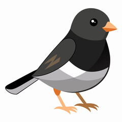 Solid color Dark Eyed Junco animal vector svg