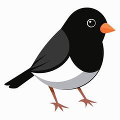 Solid color Dark Eyed Junco animal vector svg
