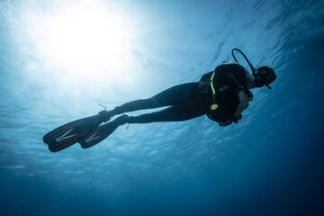 Young Woman Diver Exploring Sea. Scuba Diving Sport.