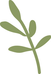 illustration of Chamomile leaf