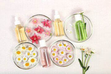 Bottles with lotion with extracts of various flowers and petri dishes with chamomile and orchid flowers on a light background, the concept of natural organic cosmetics, advertising for spa and store, 