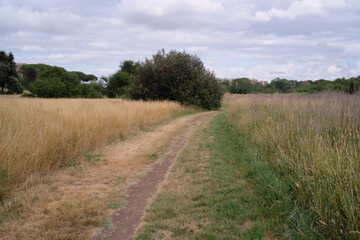 Obraz premium Riserva naturale Valle dell'Aniene, urban city park in Rome, Italy 