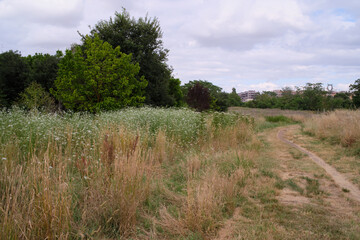 Riserva naturale Valle dell'Aniene, urban city park in Rome, Italy	