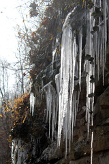 Icicles on a trail