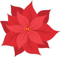 Vector illustration vibrant red poinsettia flower blossoming isolated white background. Botanical digital art showing details petals yellow flower center. Red bloom icon symbol December holidays