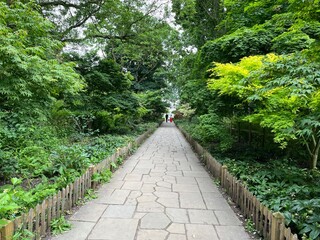 A peaceful, tree-lined pathway in a garden with lush green foliage and a stone walkway, leading to two figures in the distance.
