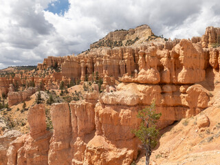 Beeindruckende Felspyramiden im Bryce Canyon Nationalpark, Utah, USA