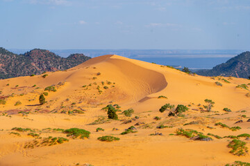 Coral Pink Sand Dunes State Park, Kanab, USA