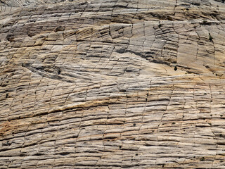 Zion National Park, verwitterte Felswand