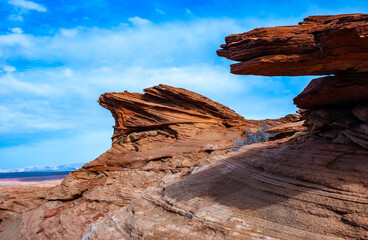 Obraz premium Spiny shrub and arid flora growing near Glen Canyon on red sands