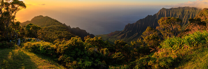 Kalalau Lookout in Waimea Canyon, Kauai, Hawaii