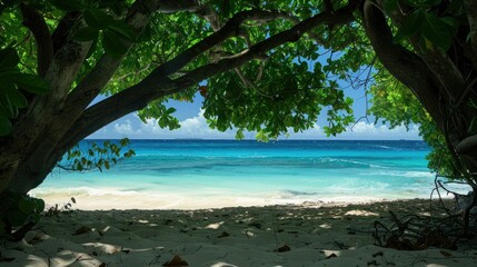 A serene beach with turquoise water, white sand and lush green trees in the foreground. The perspective is seen from under one of the tree branches and looks out to the sea.