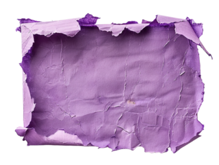 Blank ripped violet torn cardboard piece on transparent or white background