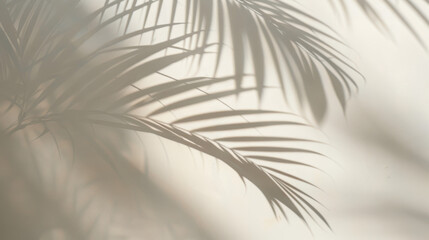 Obraz premium A high-quality photograph featuring the soft, blurred shadows of palm leaves on a light-colored wall, creating a serene and elegant visual effect.