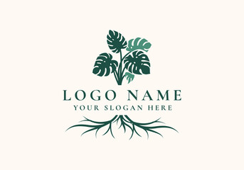 logo monstera leaves and roots. Logo botanical, floral and home plants. Editable file © ahmadfaiz