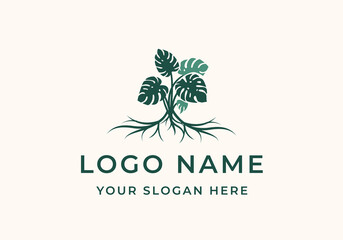 logo monstera leaves and roots. Logo botanical, floral and home plants. Editable file