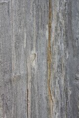 Wood texture 