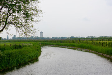 Spring landscape along the river with green grass and trees, The Kromme Rijn river is running from the Nederrijn at Wijk bij Duurstede to the Stadsbuitengracht in the province of Utrecht, Netherlands.