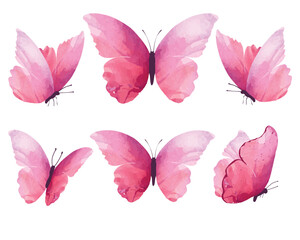 watercolor art pink butterfly