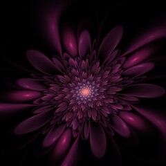 Fototapeta premium Dark fractal flower, digital artwork for creative graphic design...Fractal pattern in the shape of flowers on a black background.Abstract fractal background 3D rendering.