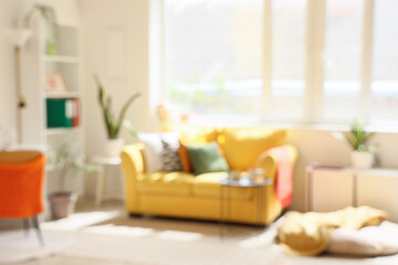 Interior of living room with shelving unit, houseplants and yellow sofa, blurred view