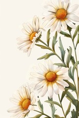 Fototapeta premium Chamomile. Illustrations of daisy flowers and leave