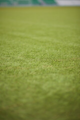 A green soccer field featuring white line markings for soccer games and competitions