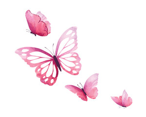 Fototapeta premium watercolor flock butterfly vector 