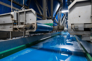 Fresh vegetables processing equipment after harvesting, storage, sorting, washing, cutting, packing, agriculture in Netherlands