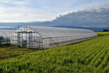 田園の中のビニールハウス