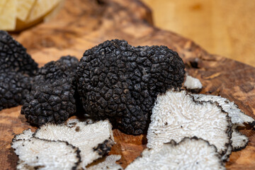 Cooking with Italian black summer truffle, tasty aromatic mushroom, close up