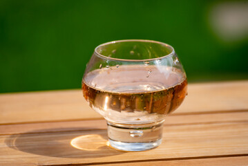 Brut apple cider from Betuwe, Gelderland, in glass, apple cider production in Netherlands