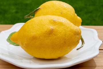Fresh ripe yellow Italian lemons from Sorrento, new harvest